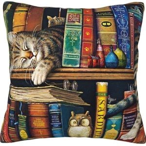 Harry Potter Vibes. 2 Pillow Covers of Cat on Bookshelf        18”x18”